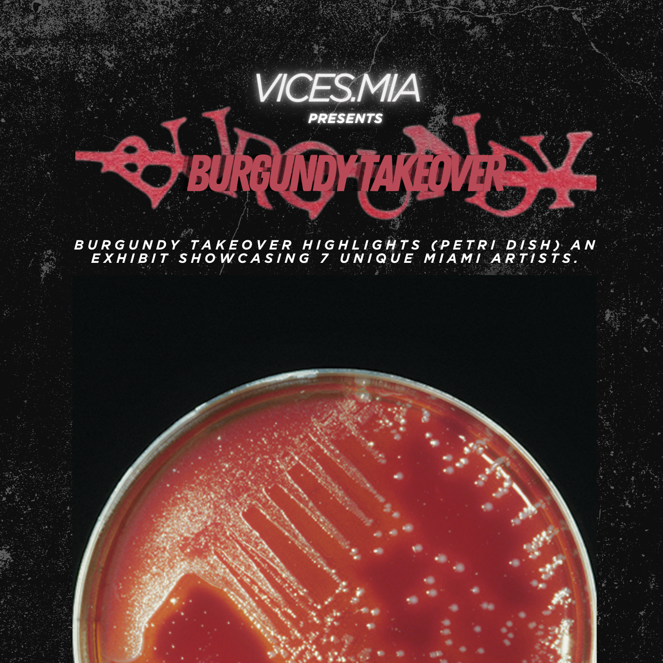 Special Issue: BURGUNDY TAKEOVER
